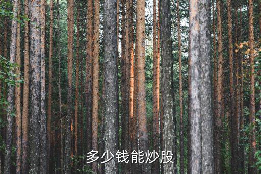 买股票要多少钱才可以买，炒股多少钱可以买股票