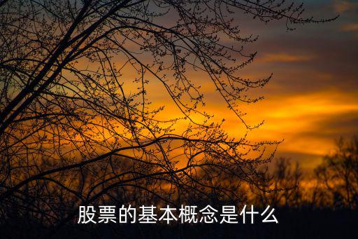 股票的基本概念是什么