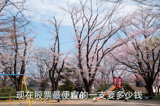 现在股票最便宜的一支要多少钱