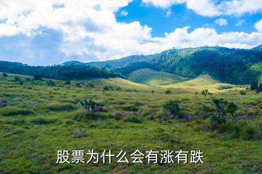 股票为什么会有涨有跌