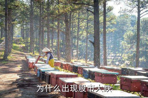 为什么出现股市大跌