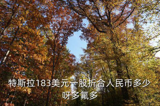 特斯拉183美元一股折合人民币多少呀多氟多