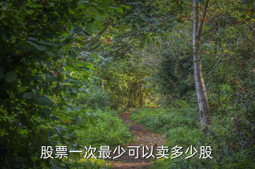 股票一次最少可以卖多少股