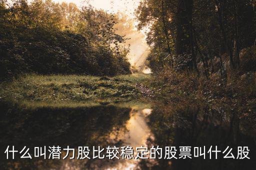 什么叫潜力股比较稳定的股票叫什么股