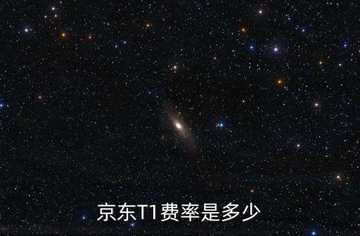 京东T1费率是多少