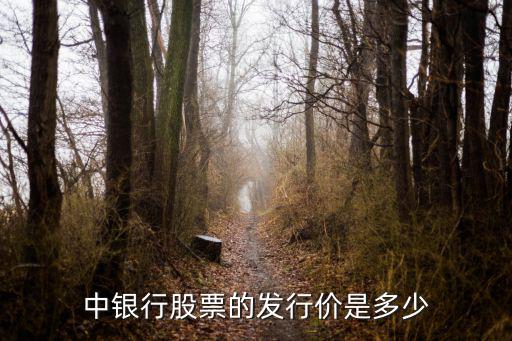中芯国际股票发行价是多少，601952股票发行价是多少