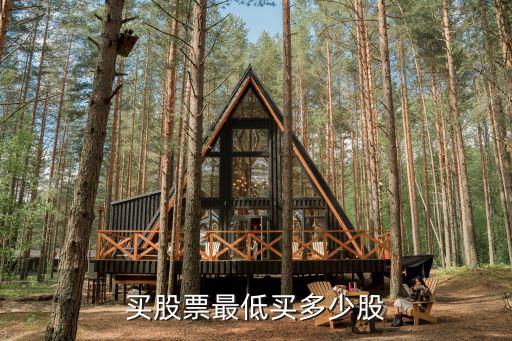 买股票最低买多少股