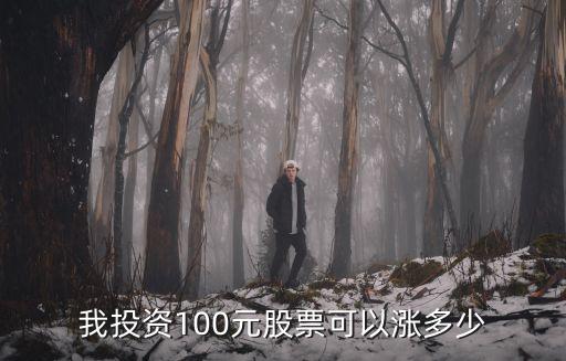我投资100元股票可以涨多少