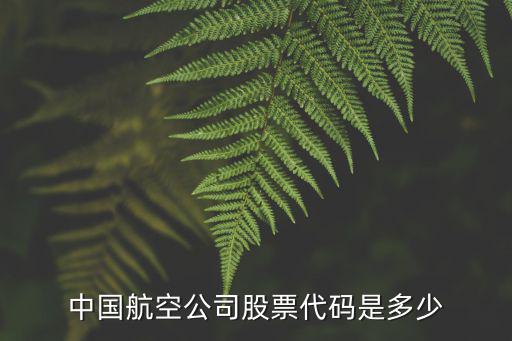 中国航空公司股票代码是多少