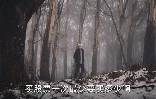 买股票一次最少要买多少啊