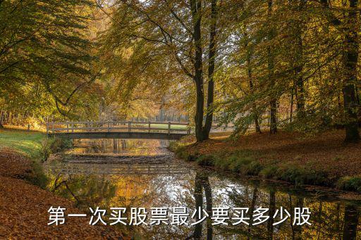 第一次买股票最少要买多少股
