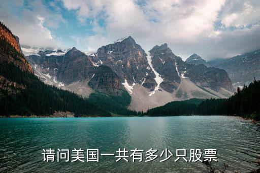 请问美国一共有多少只股票