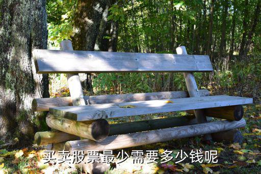 买卖股票最少需要多少钱呢
