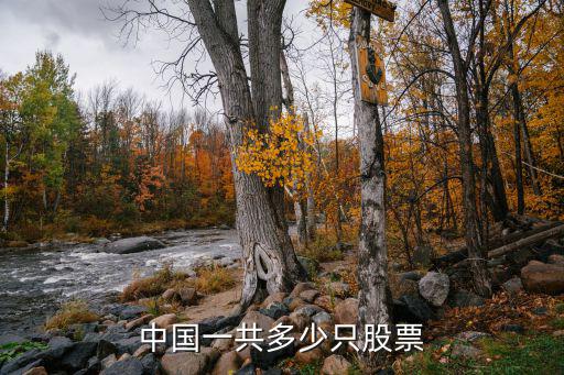 股票多少家数，中国一共多少只股票