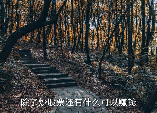 除了炒股票还有什么可以赚钱