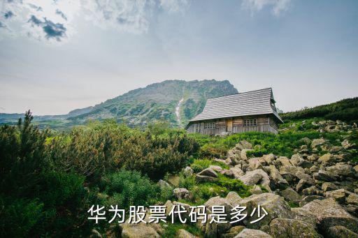 华为股票代码是多少