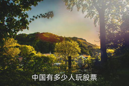 中国有多少人看股票，中国目前有多少人在炒股