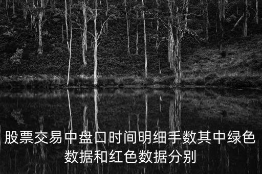 股票交易中盘口时间明细手数其中绿色数据和红色数据分别