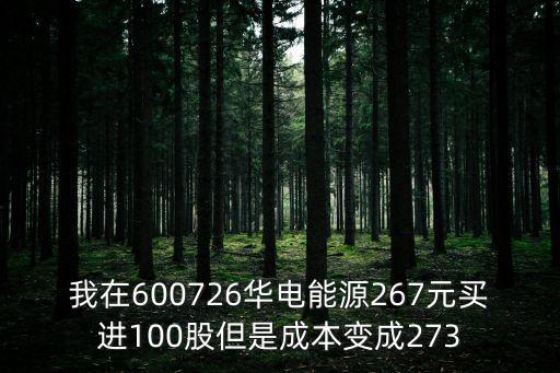 我在600726华电能源267元买进100股但是成本变成273