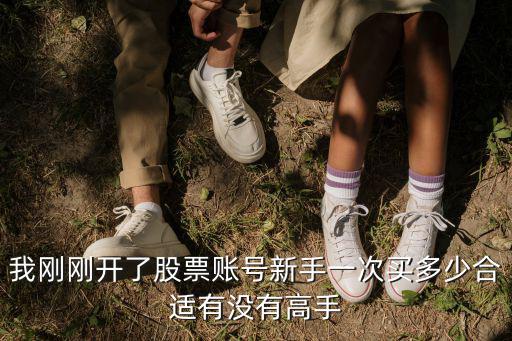 股票新手多少合适，股票买卖多少手适宜
