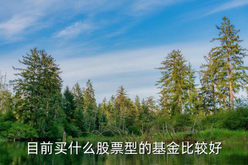 目前买什么股票型的基金比较好