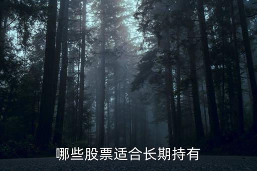 哪些股票适合长期持有