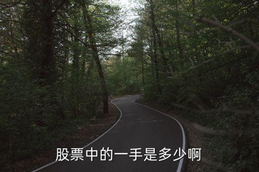 股票中的一手是多少啊