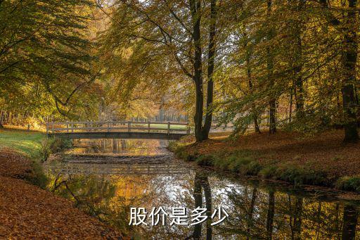 股价是多少