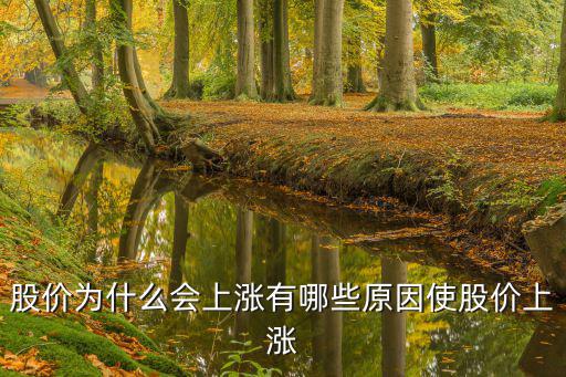 股价为什么会上涨有哪些原因使股价上涨