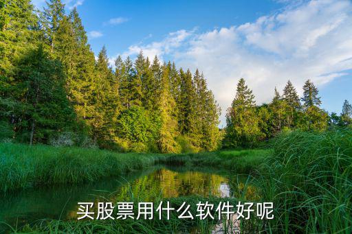 买股票用什么软件好呢
