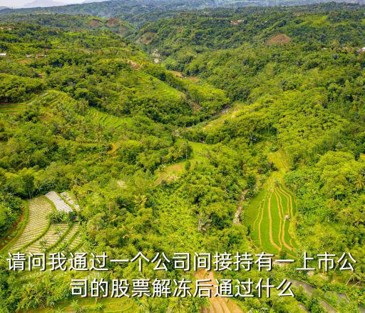 请问我通过一个公司间接持有一上市公司的股票解冻后通过什么