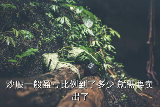 炒股一般盈亏比例到了多少 就需要卖出了