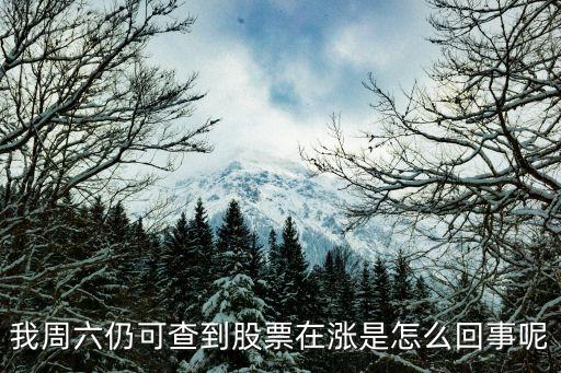 我周六仍可查到股票在涨是怎么回事呢