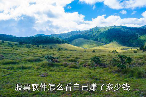 股票软件怎么看自己赚了多少钱
