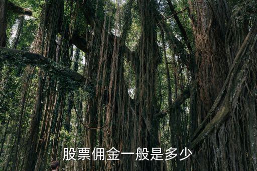股票佣金一般是多少