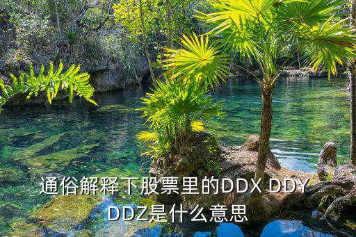 股票ddz指标是什么，DDZ是什么指标