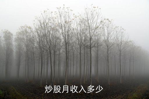 炒股票一个月多少，炒股月收入多少