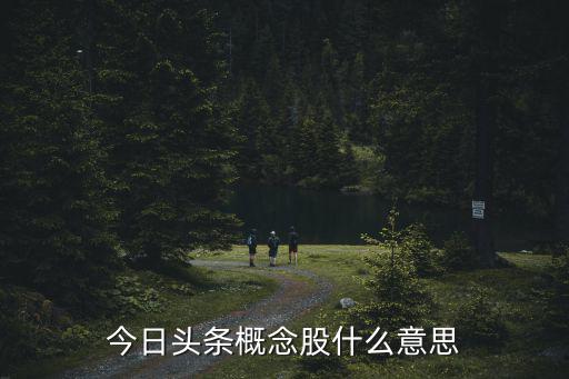 今日头条概念股什么意思