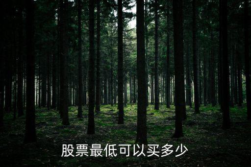 购买股票最少多少股，股票最低可以买多少