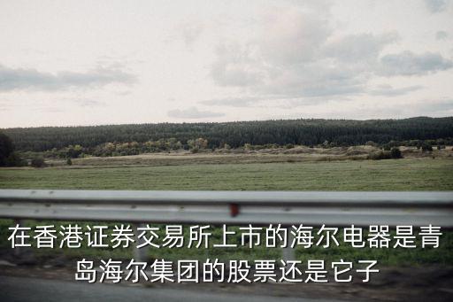 在香港证券交易所上市的海尔电器是青岛海尔集团的股票还是它子