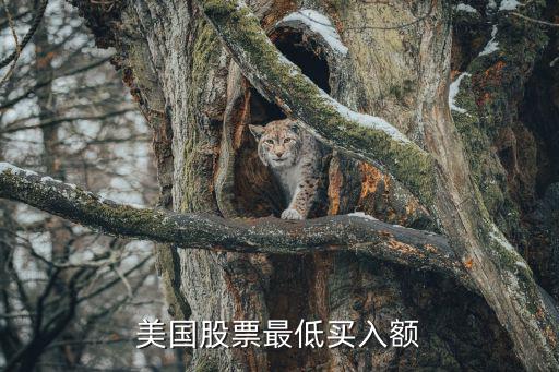 美国股票最低买入额