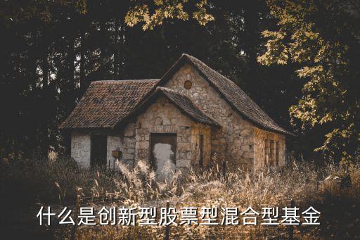 什么是创新型股票型混合型基金