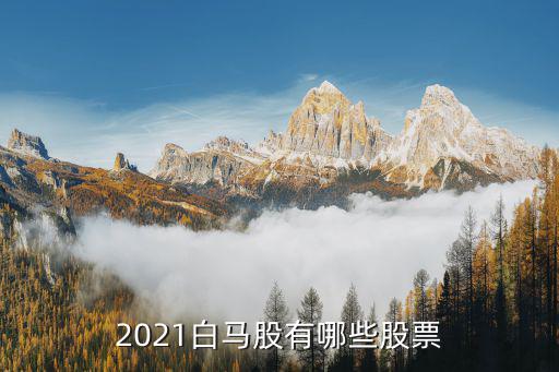2021白马股有哪些股票
