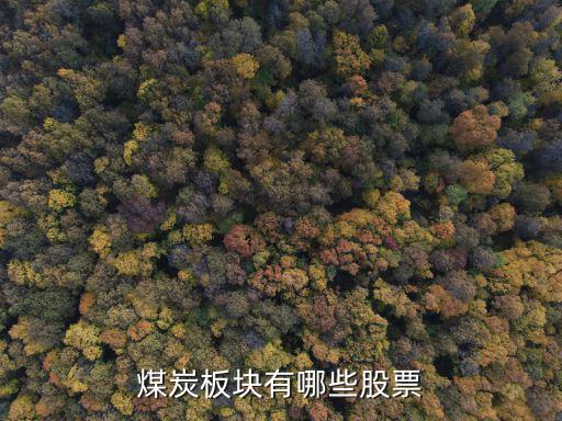 煤炭板块有哪些股票