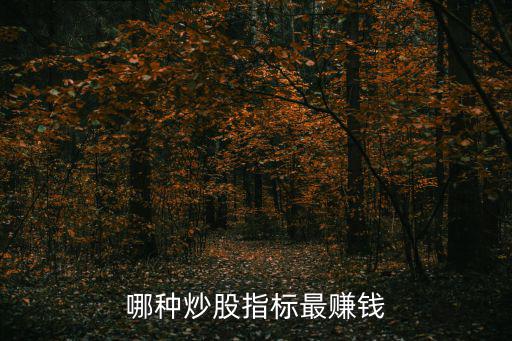 哪种炒股指标最赚钱
