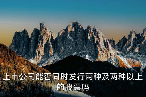 上市公司能否同时发行两种及两种以上的股票吗