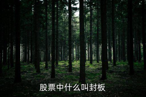 股票中什么叫封板