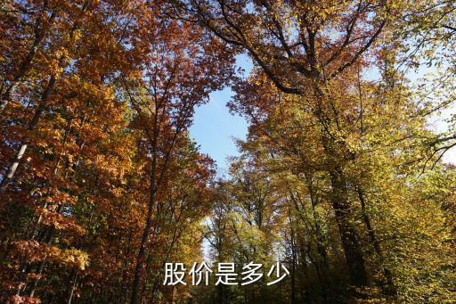 股价是多少