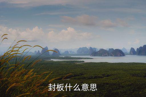 封板什么意思