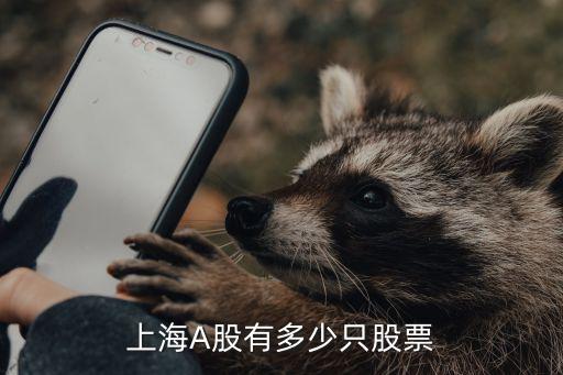 上海a股有多少股票，上海股票一共有多少